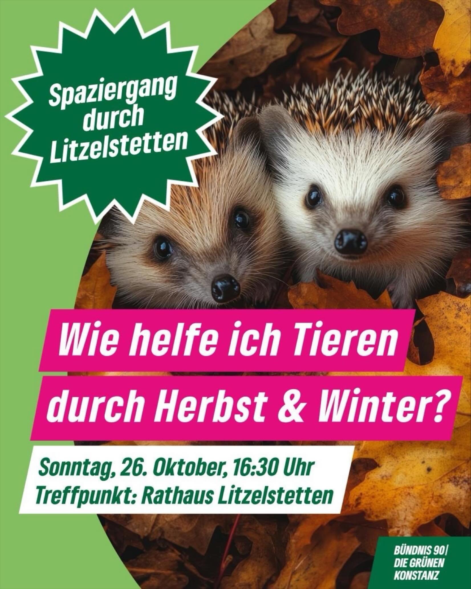 🍂🐿️ Herbstspaziergang mit Expertin: Wie helfen wir Tieren durch die kalte Jahreszeit?  Der Herbst ist da – und mit ihm die Frage: Wie kommen Igel, Vögel & Co. gut durch den Winter? 🧣❄️
Am Sonntag, 26. Oktober, 16:30 Uhr geht’s mit Diplombiologin Birgit Albert @birgit_konstanz auf einen kostenlosen Spaziergang(Start: Rathaus #Litzelstetten). Sie verrät, wie wir Tiere jetzt unterstützen können – von Futterstellen bis zu Winterquartieren.  👉 Mitmachen, lernen & Natur schützen! Wir freuen uns auf dich. 💚