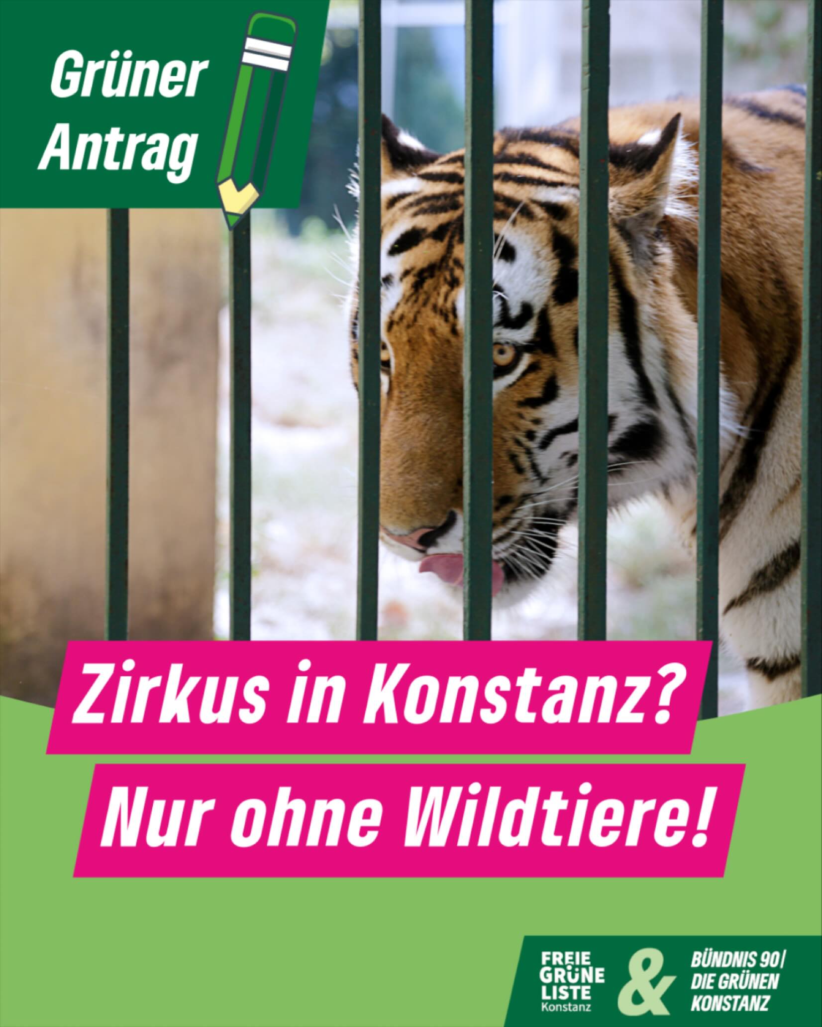 🐘🎪 Wildtiere gehören nicht in den Zirkus – Konstanz macht’s vor!  Ab 2027: Keine Löwen, Elefanten oder Bären mehr auf städtischen Flächen! 🙅‍♀️ Unser Antrag setzt ein klares Zeichen: Tierquälerei ist keine Unterhaltung.  Beengte Käfige, ständiger Stress, kein artgerechtes Leben – das ist kein „Showbusiness“, das ist Tierleid.  Viele Städte handeln schon – jetzt zieht Konstanz nach! Modern = tierfrei.
Zirkusse ohne Wildtiere? Ja! Akrobatik, Artistik & Kreativität statt Ausbeutung.  „Wildtiere sind keine Clowns – sie gehören in die Wildnis, nicht in die Manege.“ - @lisa.kreitmeier, Stadträtin  👉 Was sagt ihr? Wie sieht euer Zirkus der Zukunft aus?