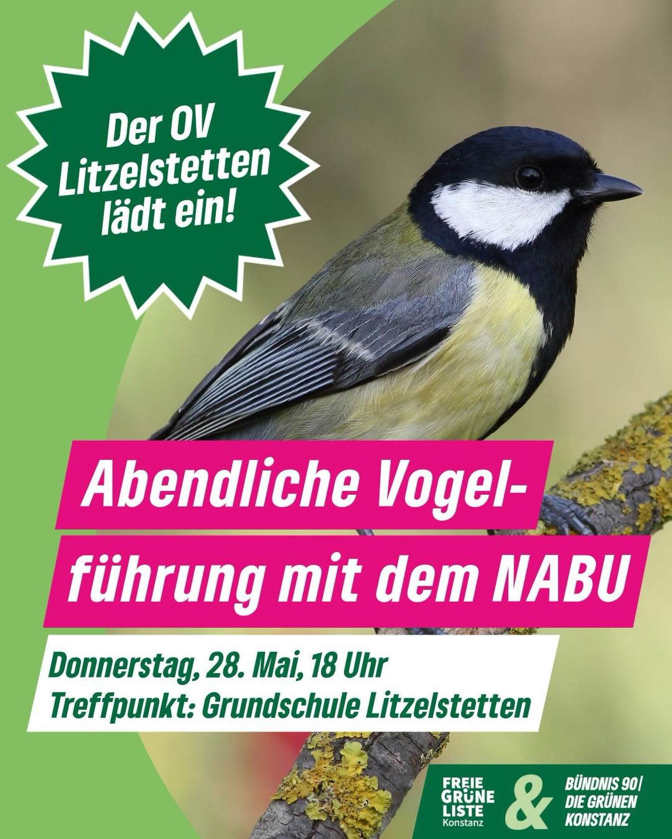 Abendliche Vogelführung mit dem NABU Konstanz  Die Litzelstetter Grünen laden herzlich zu einem besonderen Abendspaziergang rund um die Mainaubucht ein. 
Gemeinsam mit Lisa Maier vom NABU Komstanz entdecken wir die Vogelwelt am See, lauschen den Stimmen der Abenddämmerung und erfahren Spannendes über heimische Arten und ihre Lebensräume.  📅 Termin: Donnerstag, 28. Mai 2026
🕕 Uhrzeit: 18:00 Uhr bis ca. 19:30 Uhr
📍 Treffpunkt: Bank an der Grundschule Litzelstetten mit Blick auf die Mainaubucht
Großherzog-Friedrich-Straße  Die Teilnahme ist kostenfrei.  Wir freuen uns aufs gemeinsame Lauschen, Entdecken und Plaudern.  📧 Anmeldung bei: daniela.feil@rat-konstanz.de